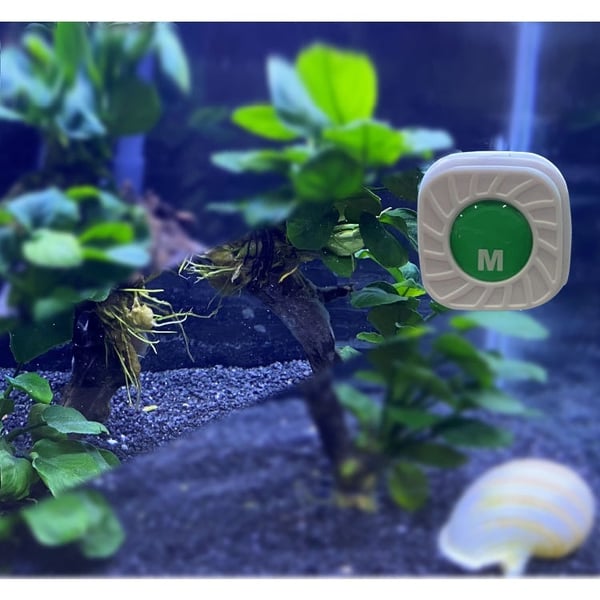 Mini-Magnet-Scheibenreiniger für Aquarium