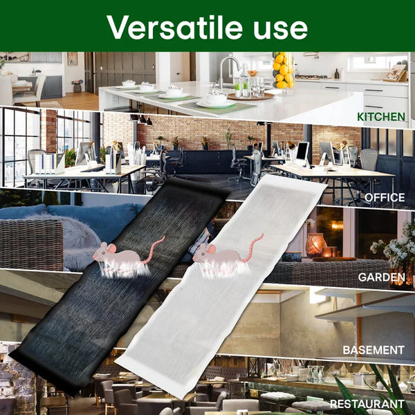 đ„Heute 25%~50% Rabattđ„GroĂe Klebrige Mausefalle