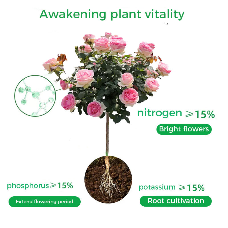 🪴🍃👍Kaufen Sie 2 und erhalten Sie 1 gratis🔥Universal schnellblühendes Pulver für Blumenpflanzen