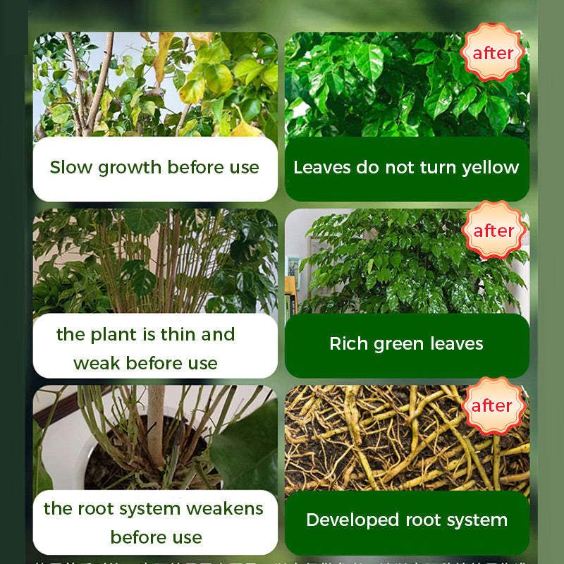 🪴🍃👍Kaufen Sie 2 und erhalten Sie 1 gratis🔥Universal schnellblühendes Pulver für Blumenpflanzen