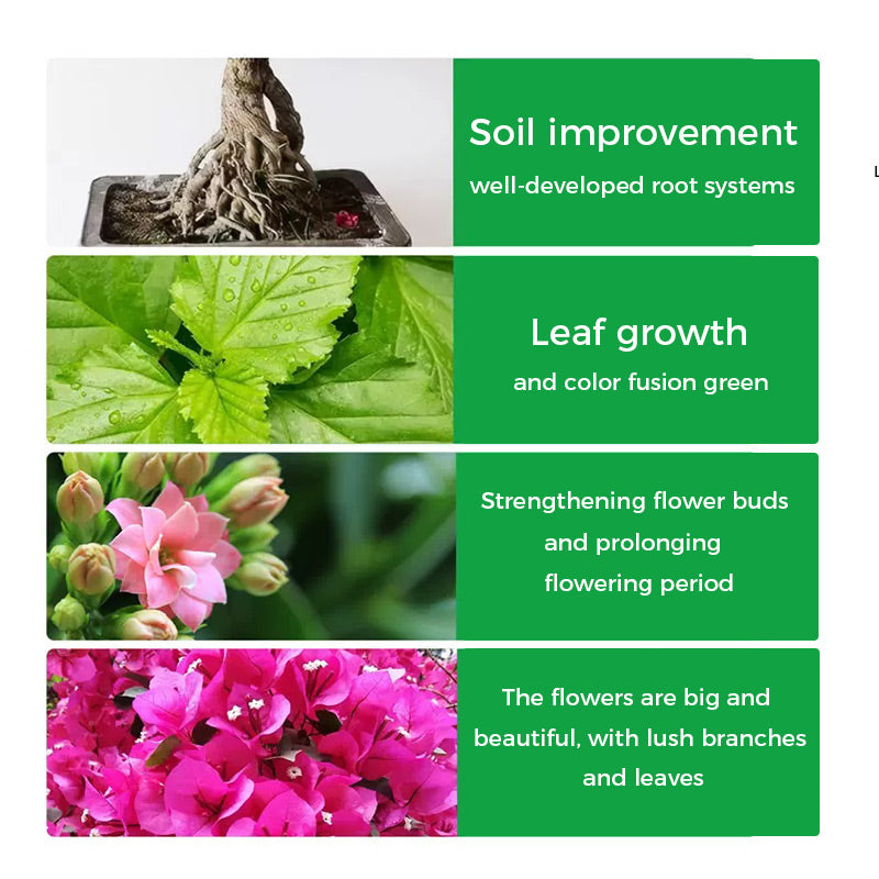 🪴🍃👍Kaufen Sie 2 und erhalten Sie 1 gratis🔥Universal schnellblühendes Pulver für Blumenpflanzen