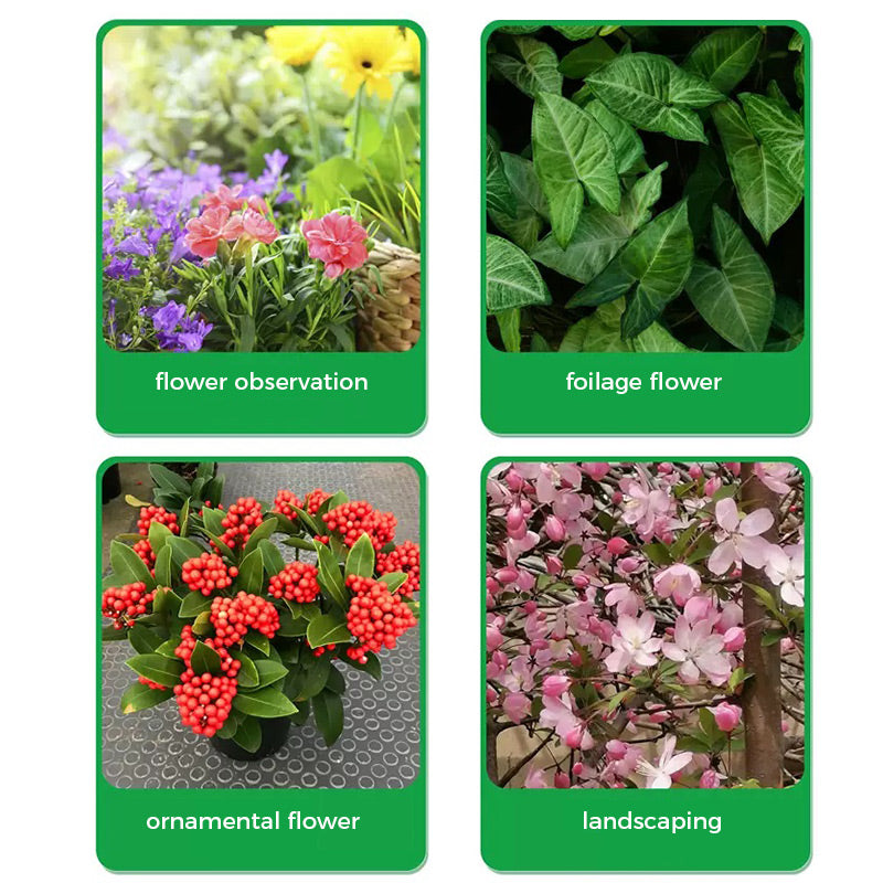 🪴🍃👍Kaufen Sie 2 und erhalten Sie 1 gratis🔥Universal schnellblühendes Pulver für Blumenpflanzen