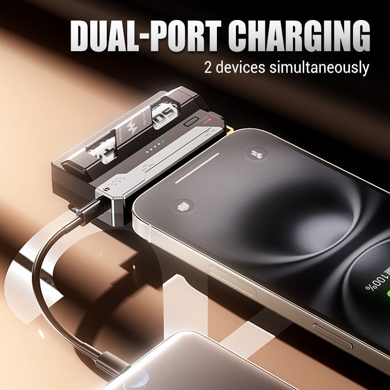 Tragbare Powerbank mit austauschbarer Batteri