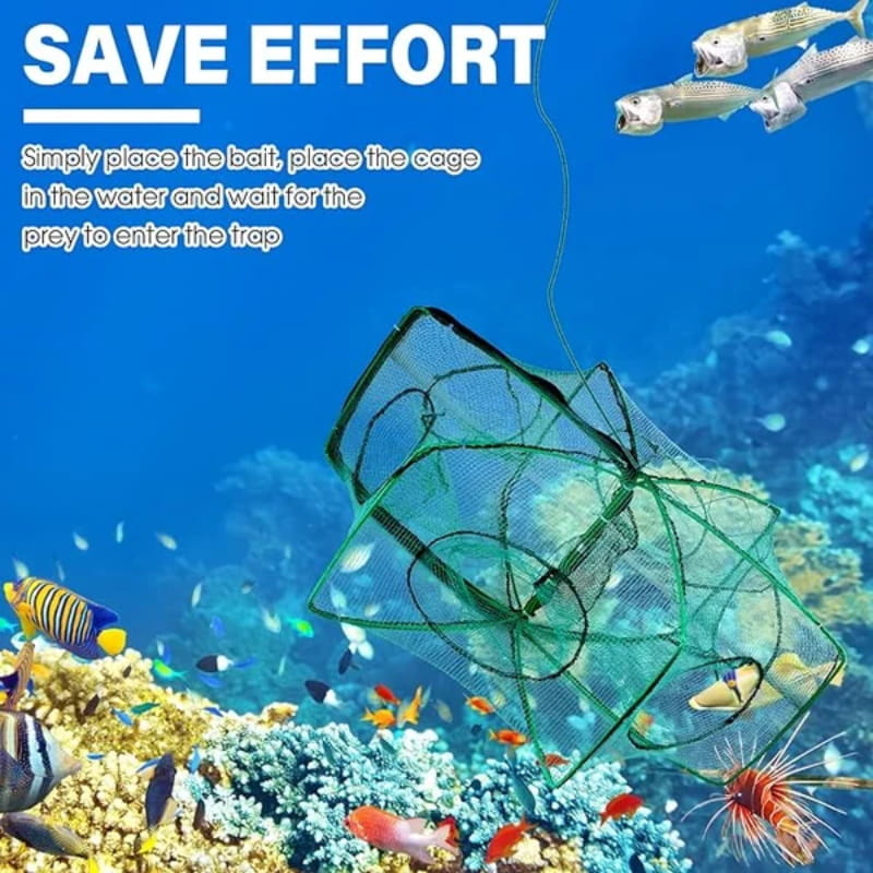 🚨 50% RABATT! 🚨 Automatisches Klapp-Netz für Angler - Verstärktes Fangnetz aus Nylon, Keschernetz mit Teleskopstiel 🎣✨