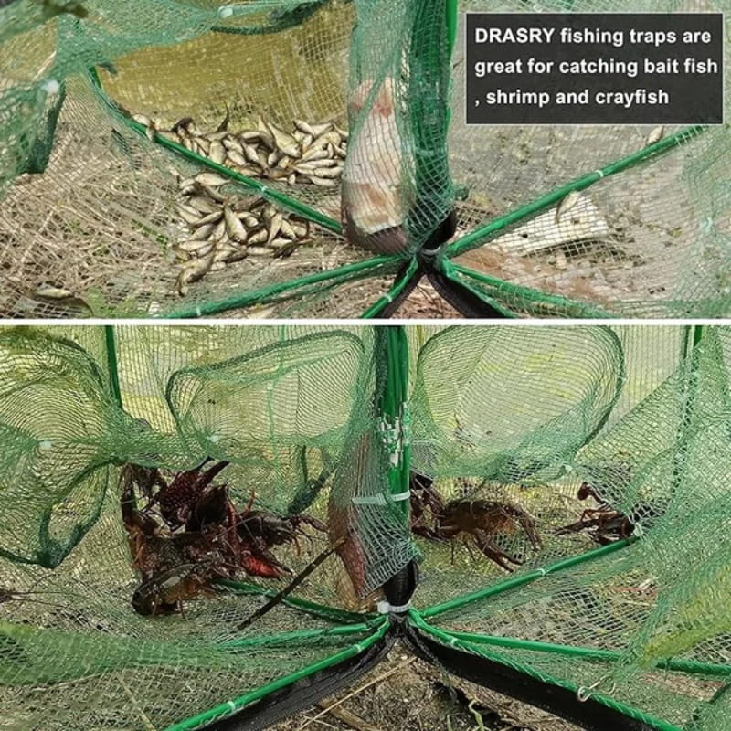 🚨 50% RABATT! 🚨 Automatisches Klapp-Netz für Angler - Verstärktes Fangnetz aus Nylon, Keschernetz mit Teleskopstiel 🎣✨
