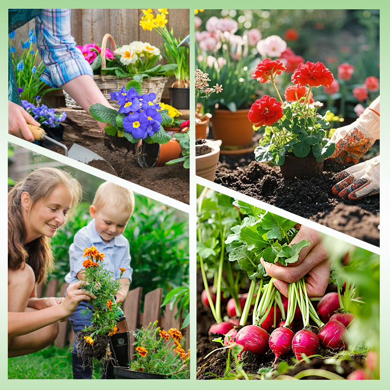 Nützliche Mikroorganismen-Dünger