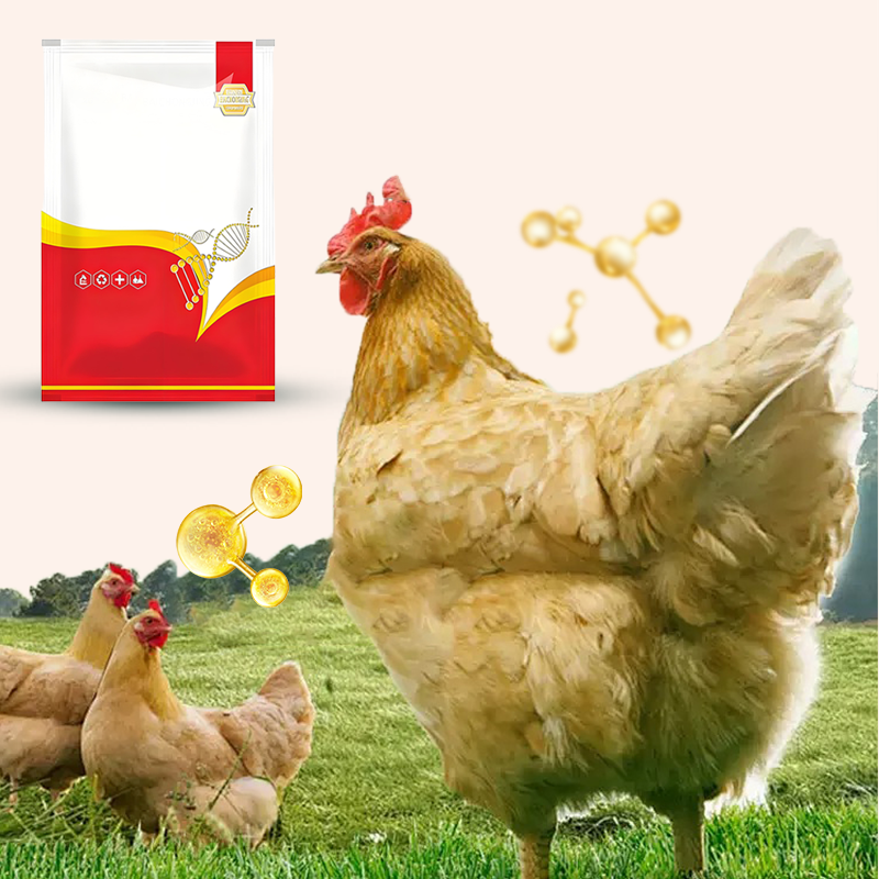 🐓Natürliches inneres und äußeres Entwurmungsmittel für Hühner