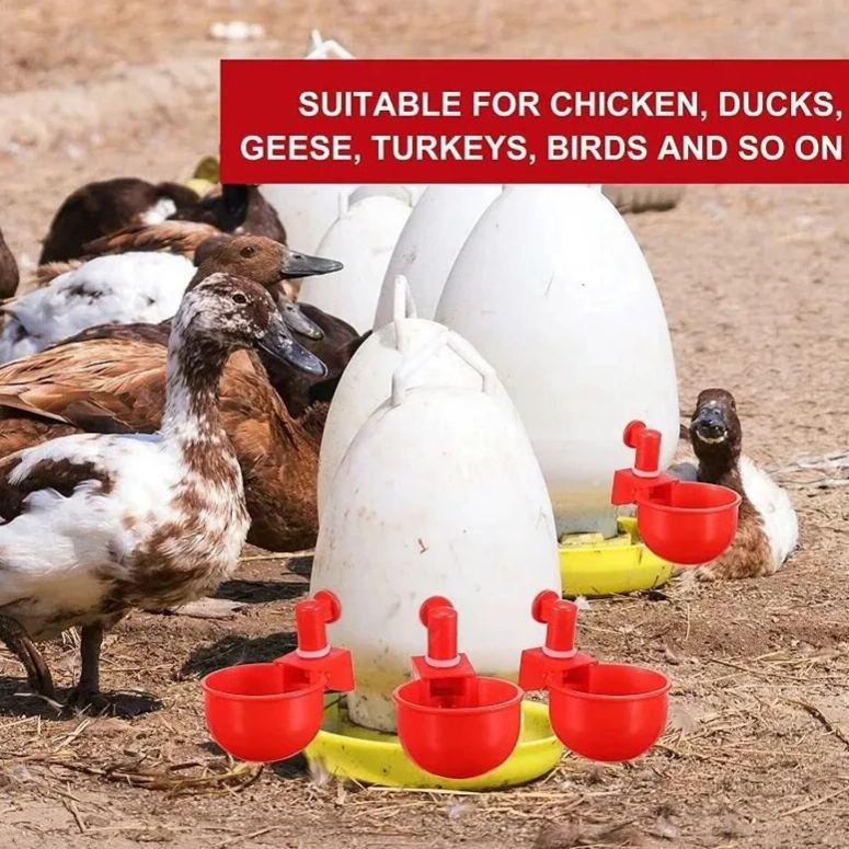 🔥🔥Geschenk für Hühnerliebhaber 49% OFF--🔥Automatische Hühnertränke Vogelhäuschen