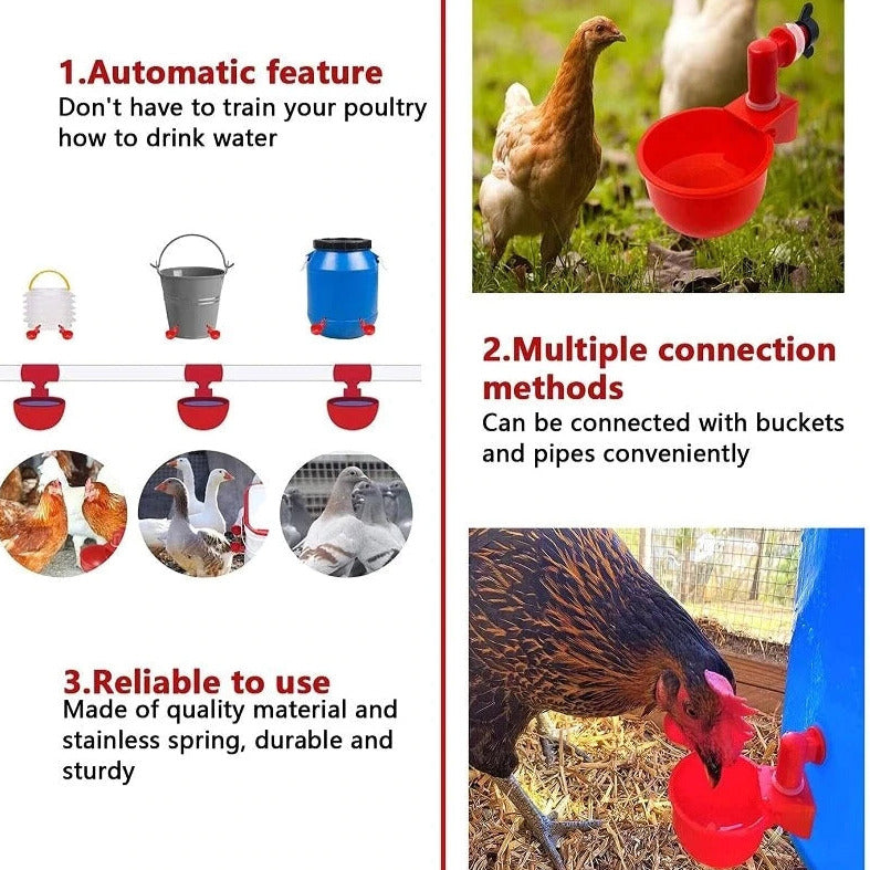 🔥🔥Geschenk für Hühnerliebhaber 49% OFF--🔥Automatische Hühnertränke Vogelhäuschen