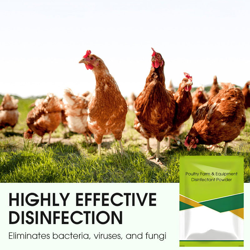 100 g Desinfektionspulver für Geflügelställe & landwirtschaftliche Geräte