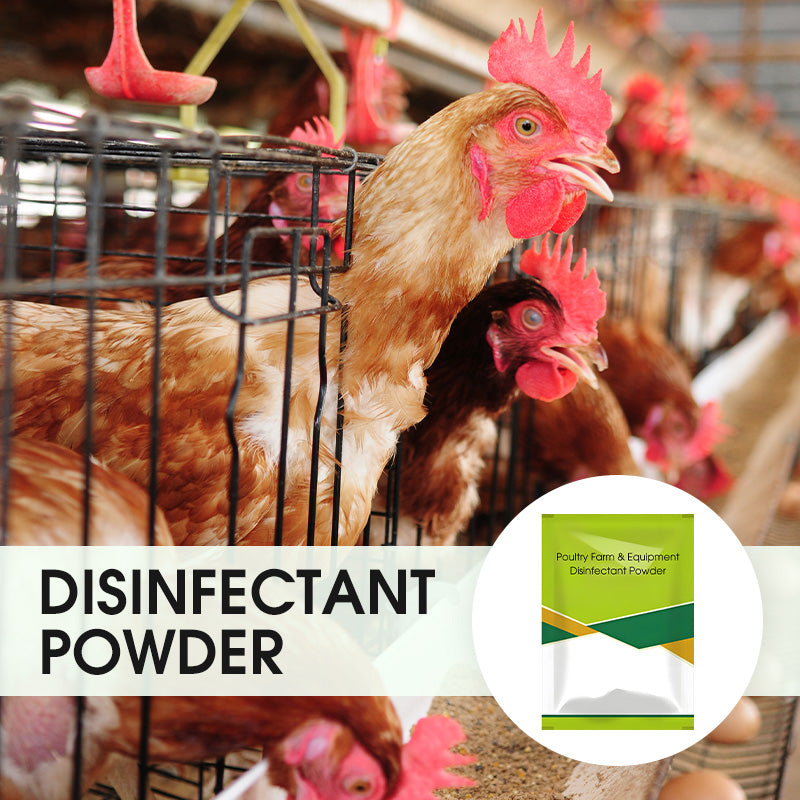 100 g Desinfektionspulver für Geflügelställe & landwirtschaftliche Geräte