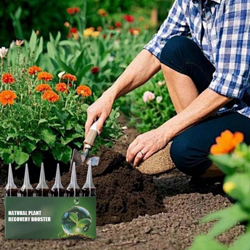 Natural Plant Recovery Booster With Essential Nutrients