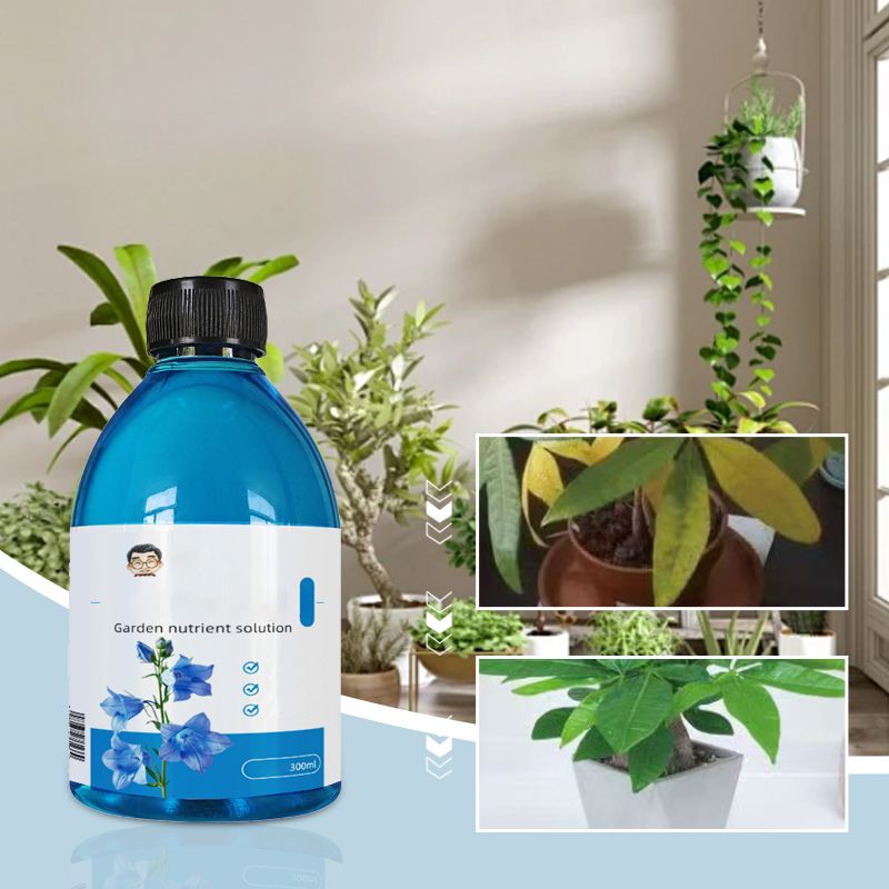 Konzentrierte Nährstofflösung für Blumen und Pflanzen