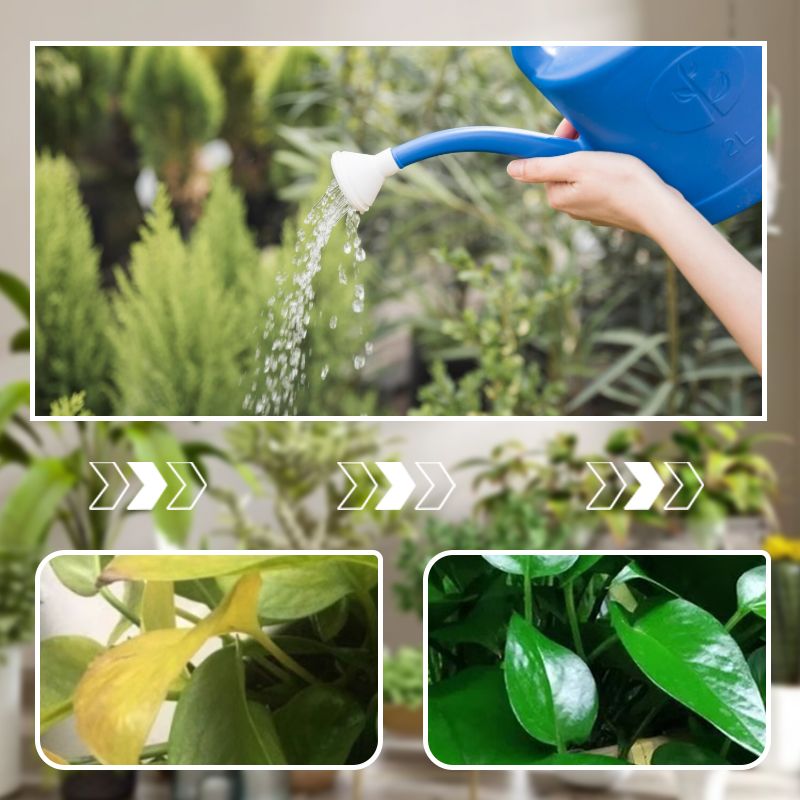 Konzentrierte Nährstofflösung für Blumen und Pflanzen