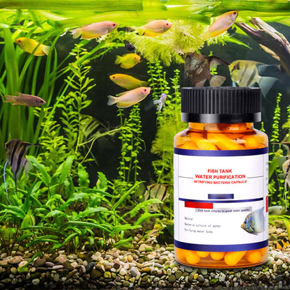 Nitrifizierende Bakterienkapsel zur Wasserreinigung im Aquarium