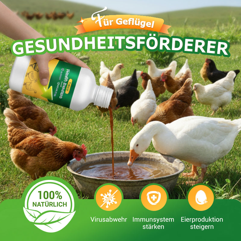 🐓Oral-Lösung gegen mehrere Symptome bei Geflügel🔥💯