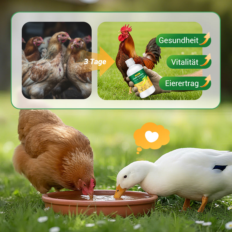 🐓Oral-Lösung gegen mehrere Symptome bei Geflügel🔥💯