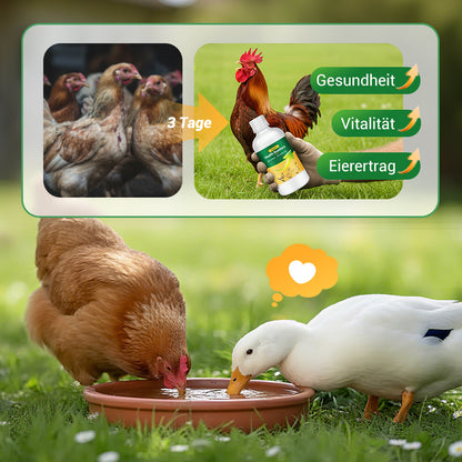 🐓Oral-Lösung gegen mehrere Symptome bei Geflügel🔥💯