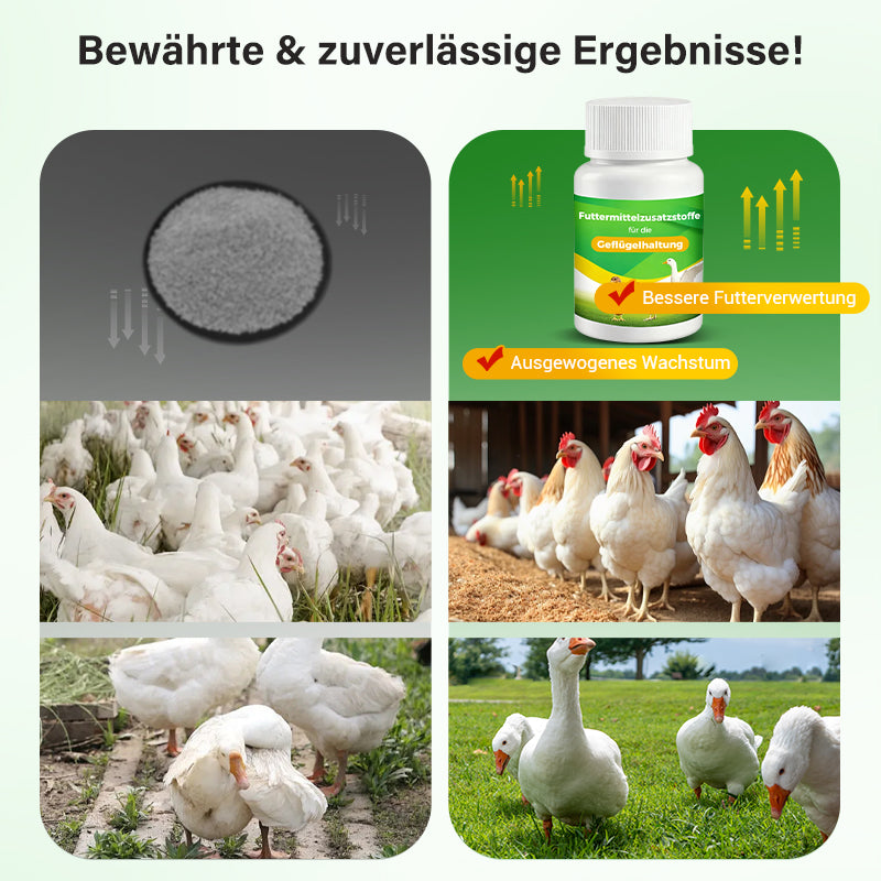 Futtermittelzusatzstoffe für die Geflügelhaltung