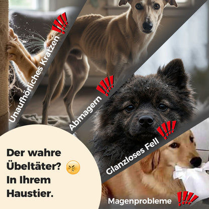 100 Tabletten zur Breitband-Entwurmung