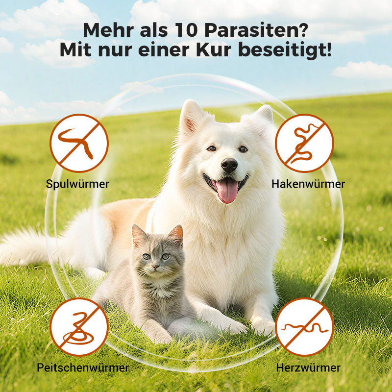 100 Tabletten zur Breitband-Entwurmung