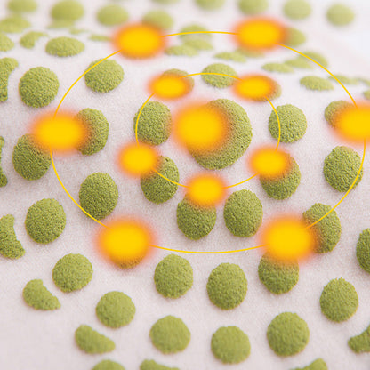 🌸🌸Winter-High-Stretch-Taillenprotektor für Frauen