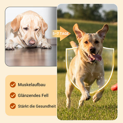 100 Tabletten zur Breitband-Entwurmung