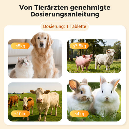 100 Tabletten zur Breitband-Entwurmung