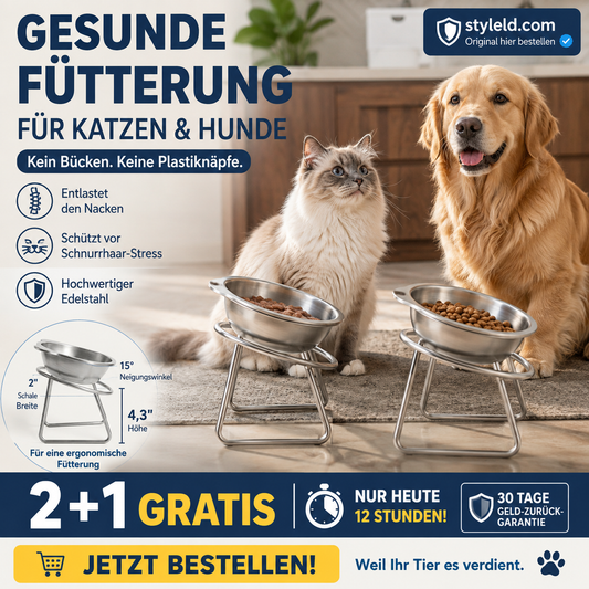 🥣2 kaufen, 1 gratis✨ Orthopädischer, um 15° geneigter Napf – Müheloses Essen, verringert das Risiko des Verschluckens und hilft Kindern und älteren Menschen, selbstständig zu essen 👶👴