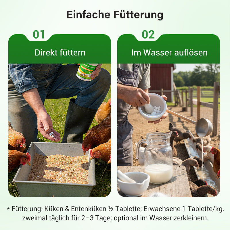 Futtermittelzusatzstoffe für die Geflügelhaltung