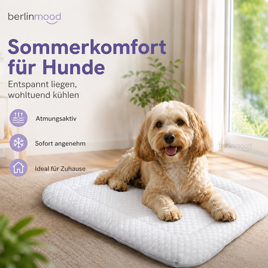 Atmungsaktive Kühlmatte für Haustiere für den Sommer