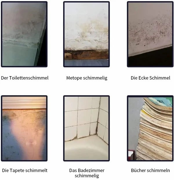 🌟⭐Kaufen 2 bekommen 1 gratis🦠🦠Schimmel- und Mehltau-Entferner Schaumspray