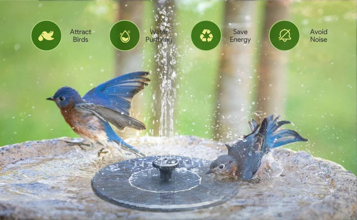 ⏳Zeitlich begrenztes Sonderangebot⏰Kompakte Solar-Vogelbrunnenpumpe – Beleben Sie Ihren Garten! 🐦️