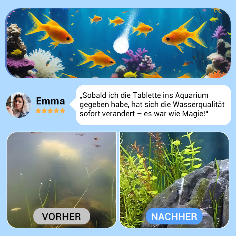 🖤Black Friday 50 % Rabatt 💥🚀Kaufen 3 und erhalten 2 gratis♻️💧Leistungsstarke Wasserreinigungstablette für Aquarien