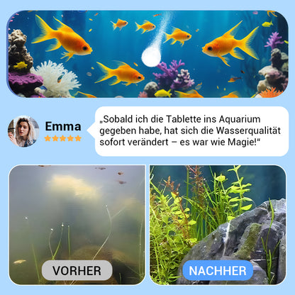 🖤Black Friday 50 % Rabatt 💥🚀Kaufen 3 und erhalten 2 gratis♻️💧Leistungsstarke Wasserreinigungstablette für Aquarien