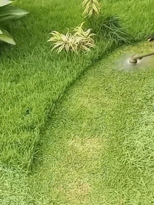 🛠️Universeller Stahlkabel-Schneiderkopf🌿