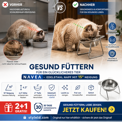 🥣2 kaufen, 1 gratis✨ Orthopädischer, um 15° geneigter Napf – Müheloses Essen, verringert das Risiko des Verschluckens und hilft Kindern und älteren Menschen, selbstständig zu essen 👶👴