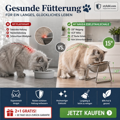 🥣2 kaufen, 1 gratis✨ Orthopädischer, um 15° geneigter Napf – Müheloses Essen, verringert das Risiko des Verschluckens und hilft Kindern und älteren Menschen, selbstständig zu essen 👶👴