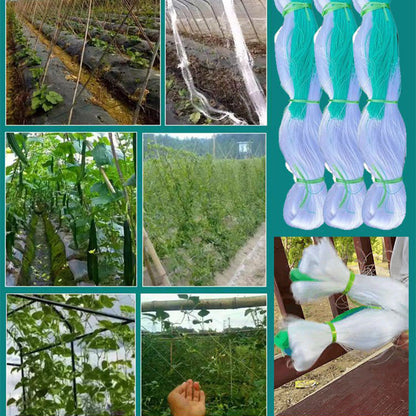 🌿【Kletternetz】— Tomaten und Gurken klettern von selbst hoch und bleiben so vom Boden fern, damit du dich beim Pflücken nicht bücken musst! 🍅✨