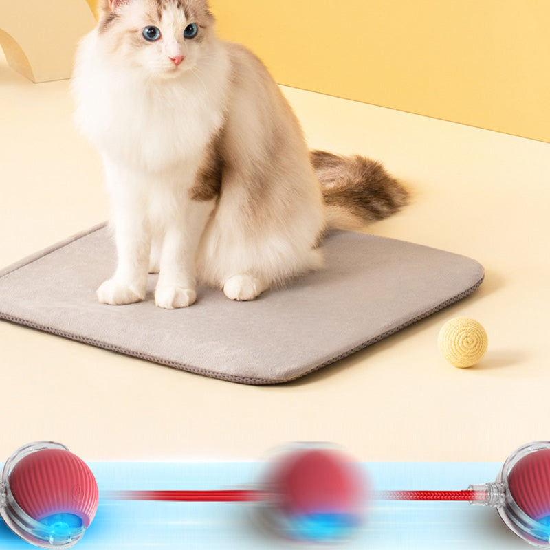 🐱🐶Intelligenter automatischer Rollball für Haustiere