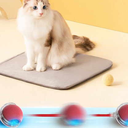 🐱🐶Intelligenter automatischer Rollball für Haustiere