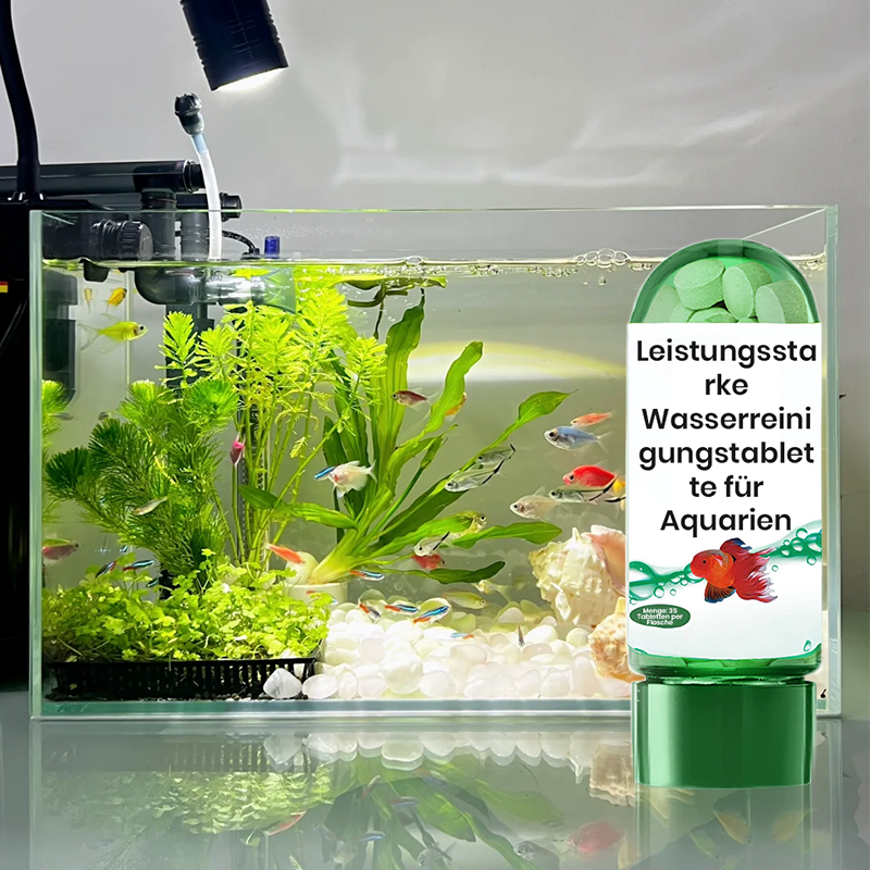 🖤Black Friday 50 % Rabatt 💥🚀Kaufen 3 und erhalten 2 gratis♻️💧Leistungsstarke Wasserreinigungstablette für Aquarien