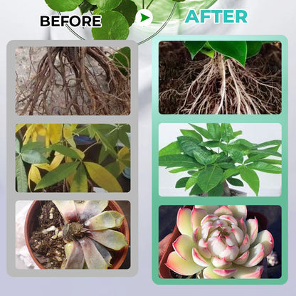 Hydrokultur-Nährlösung: Wachstumsbooster für Pflanzen 🌱⚗️💚