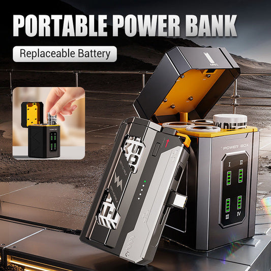 Tragbare Powerbank mit austauschbarer Batteri