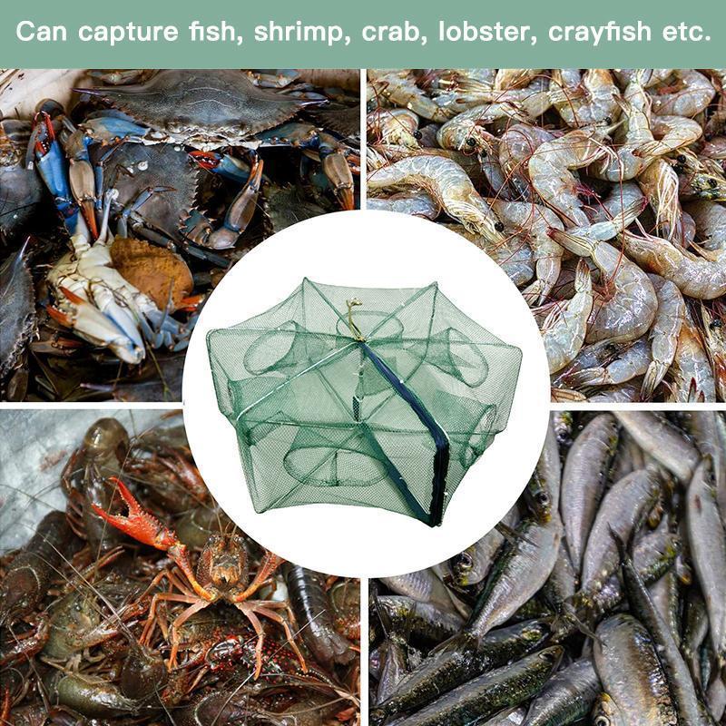 🥳2026 HEISSER VERKAUF🥳💞Über 50.000 verkauft!🦀🦐 50 % RABATT! Automatische, faltbare Fischfalle – Verdicktes Netz, rostfreier Stahl. Reißverschlussöffnung für einfaches Entnehmen. Verdoppelt Ihren Fang mühelos. 🏆🌊