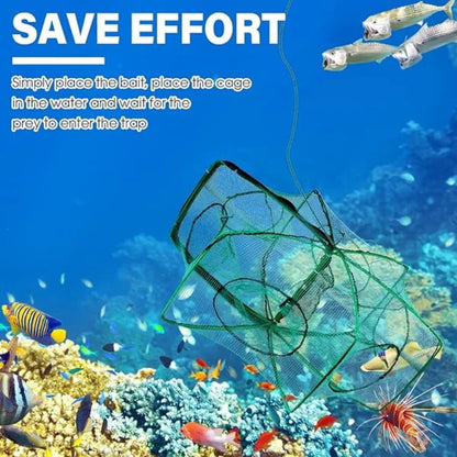 🚨 50% RABATT! 🚨 Automatisches Klapp-Netz für Angler - Verstärktes Fangnetz aus Nylon, Keschernetz mit Teleskopstiel 🎣✨