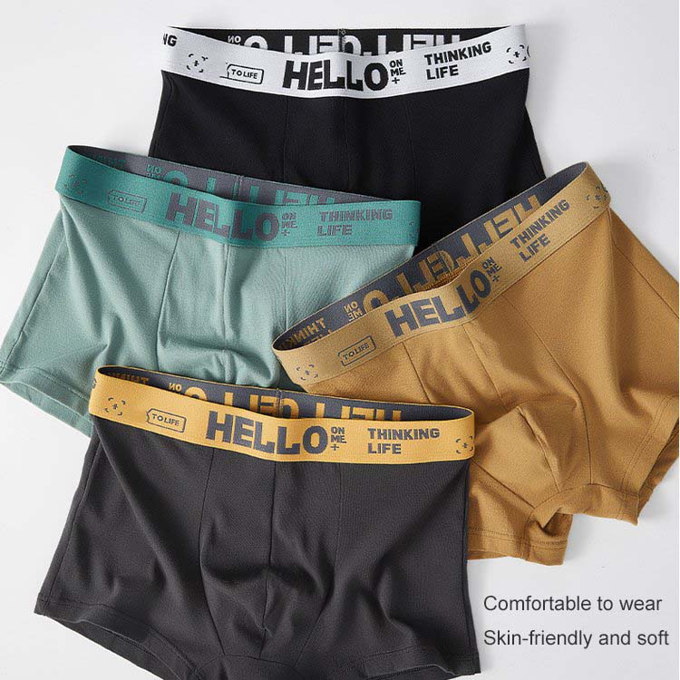 50% OFF🔥Das perfekte Geschenk🎁 Antibakterielle Baumwoll-Boxershorts