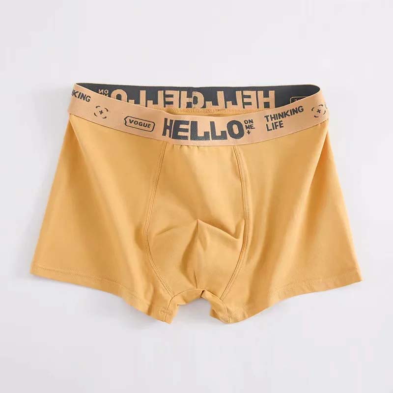 50% OFF🔥Das perfekte Geschenk🎁 Antibakterielle Baumwoll-Boxershorts