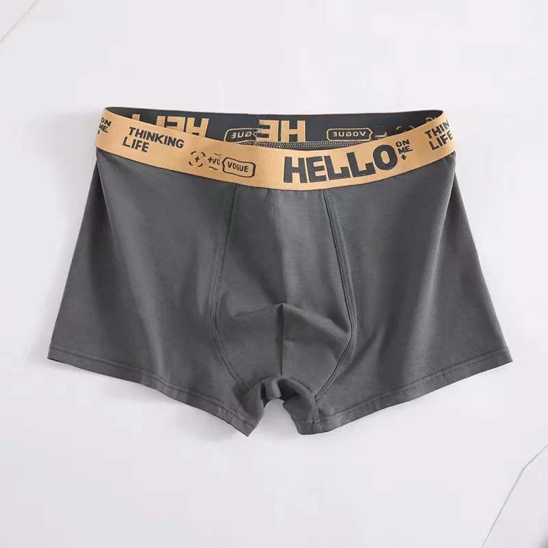 50% OFF🔥Das perfekte Geschenk🎁 Antibakterielle Baumwoll-Boxershorts