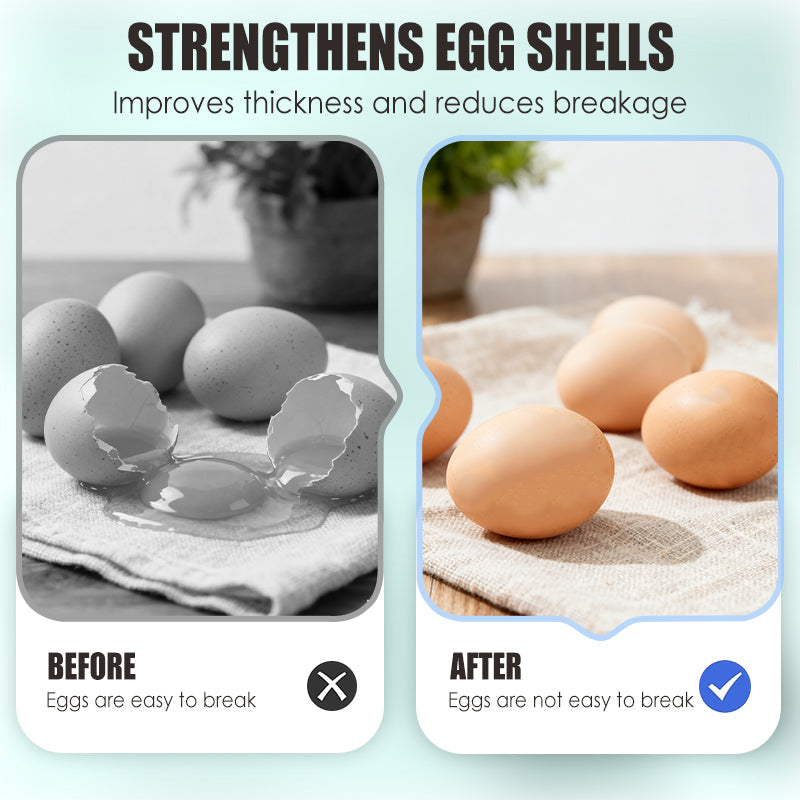 🐓🥚Eier-Booster Futterergänzung